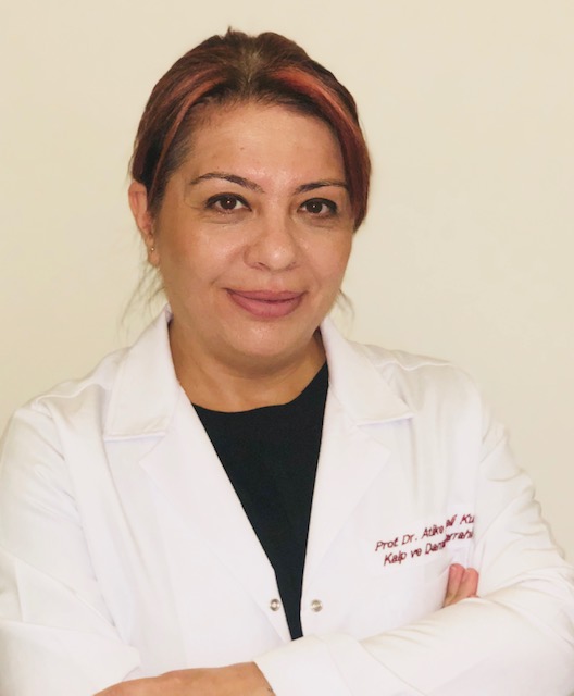PROF.DR. ATİKE TEKELİ KUNT